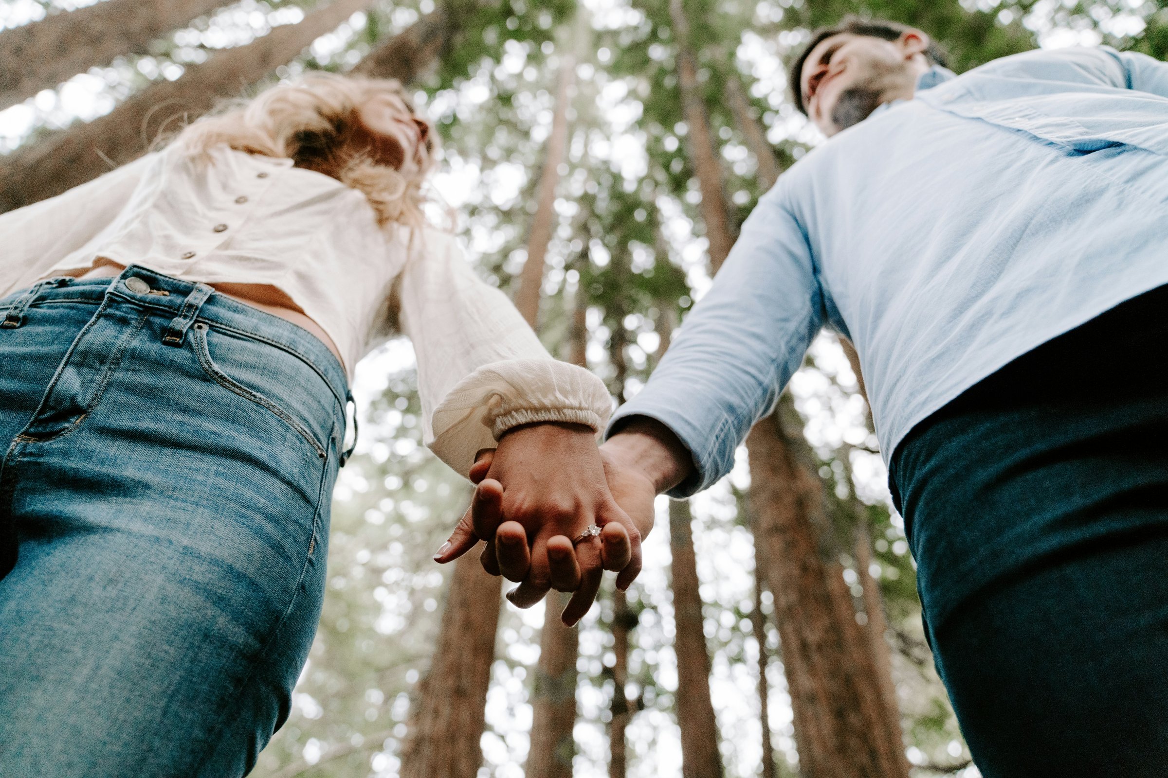 Couple holding hands in a forest, looking up at the trees